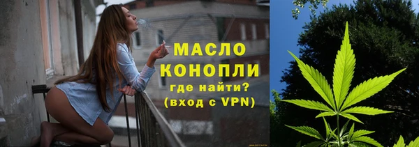 гидра Надым