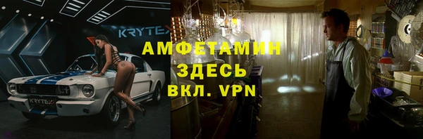 гидра Надым