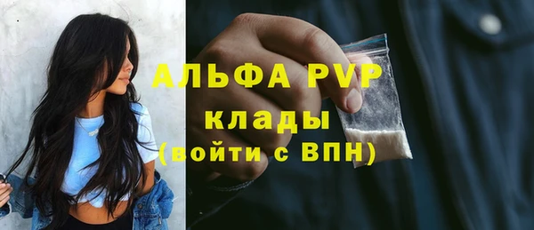 гидра Надым