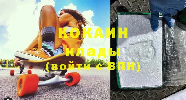 гидра Надым