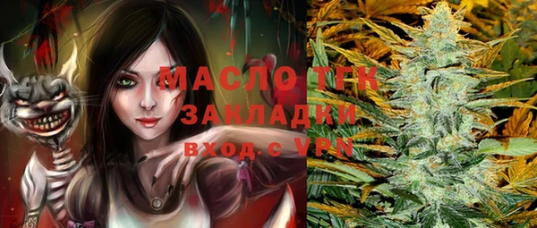 гидра Надым