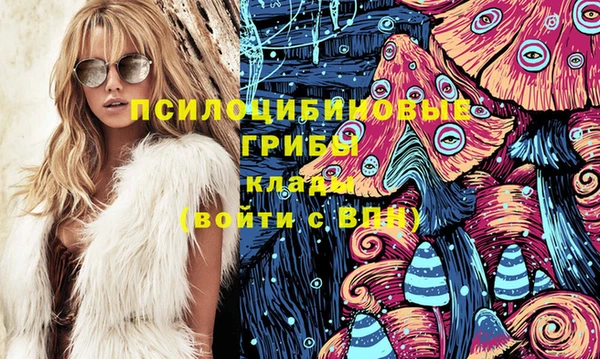 гидра Надым