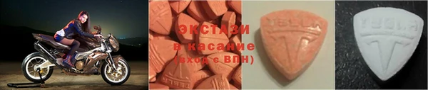 гидра Надым