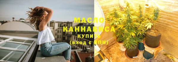 гидра Надым