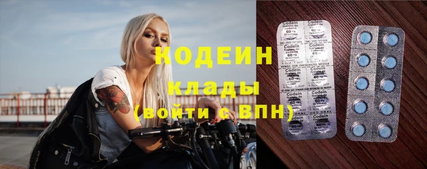 гидра Надым