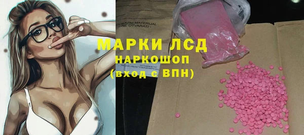 гидра Надым