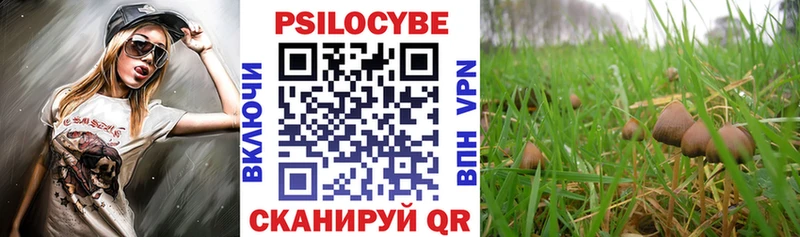Псилоцибиновые грибы Magic Shrooms  Юрюзань 